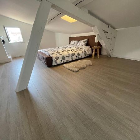 Apartament Duplex Quartier Saint-Sernin, Tuluza Zewnętrze zdjęcie