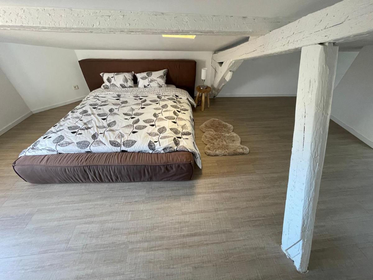 Apartament Duplex Quartier Saint-Sernin, Tuluza Zewnętrze zdjęcie